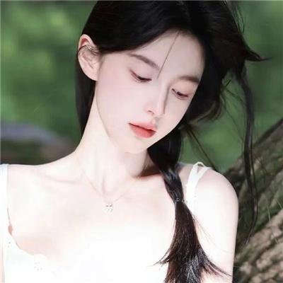 海龟们